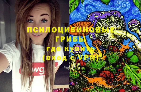 твердый Сосновоборск