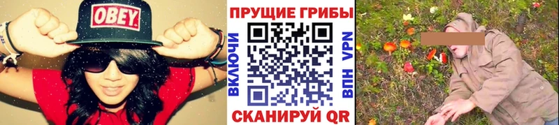 Галлюциногенные грибы мицелий  Югорск 